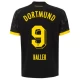 Maillot de Foot BVB Borussia Dortmund 2023-24 Haller #9 Extérieur Homme