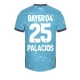 Maillot Equipe Foot Bayer 04 Leverkusen Palacios #25 2023-24 Third Homme